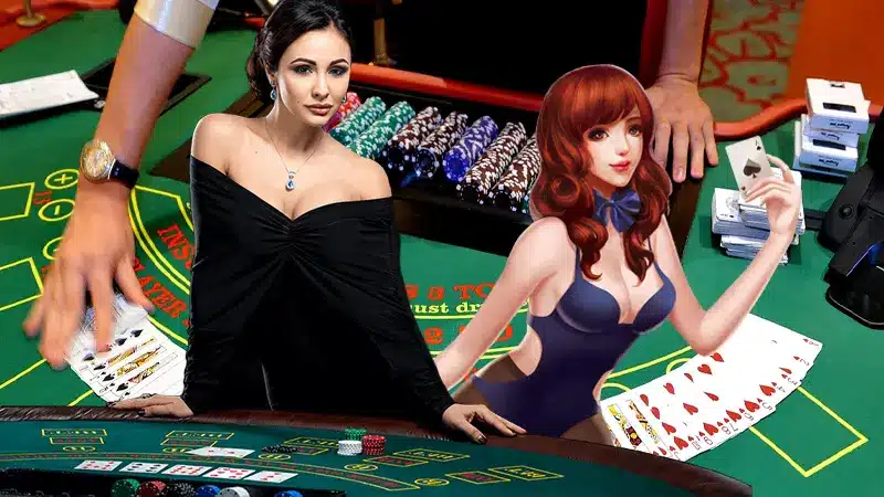 บาคาร่าเว็บตรง meyou147 เปิดให้บริการแบบครบวงจร