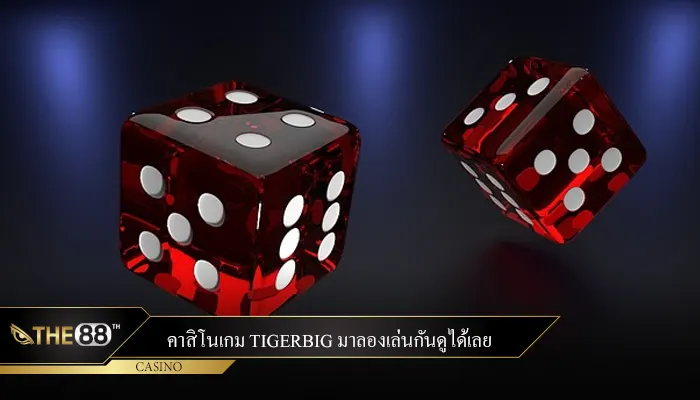 คาสิโนเกม tigerbig มาลองเล่นกันดูได้เลย